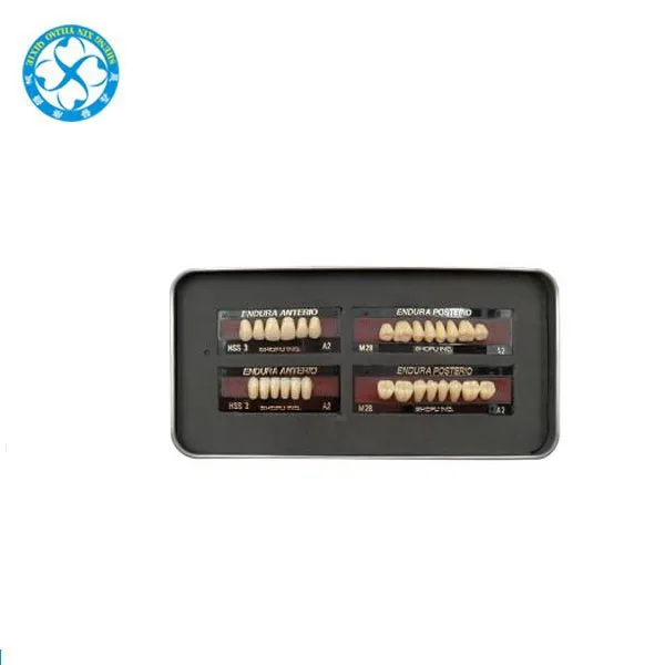 High quality Dental Shofu Endura Teeth/Shofu Endura Teeth Dental Supply