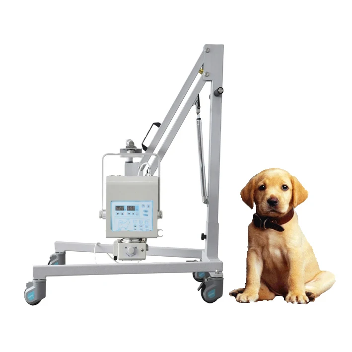 Greenlife XM-P60V Portable 4KW High Frequency X ray Unit Digital X-ray Machine price