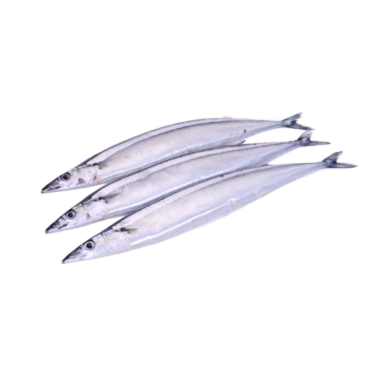 bqf Pacific Saury fish for market sale
