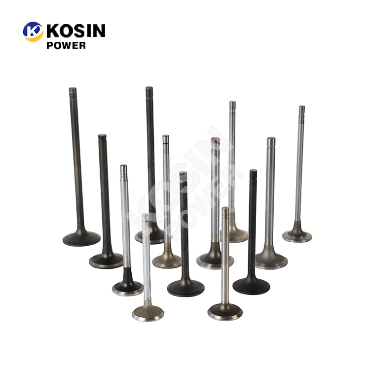 Original NTA855 KTA19 KTA38 KTA50 NT855 VTA28 MTA11 LTA10 N14 Exhaust Valve Intake Valve for cummins