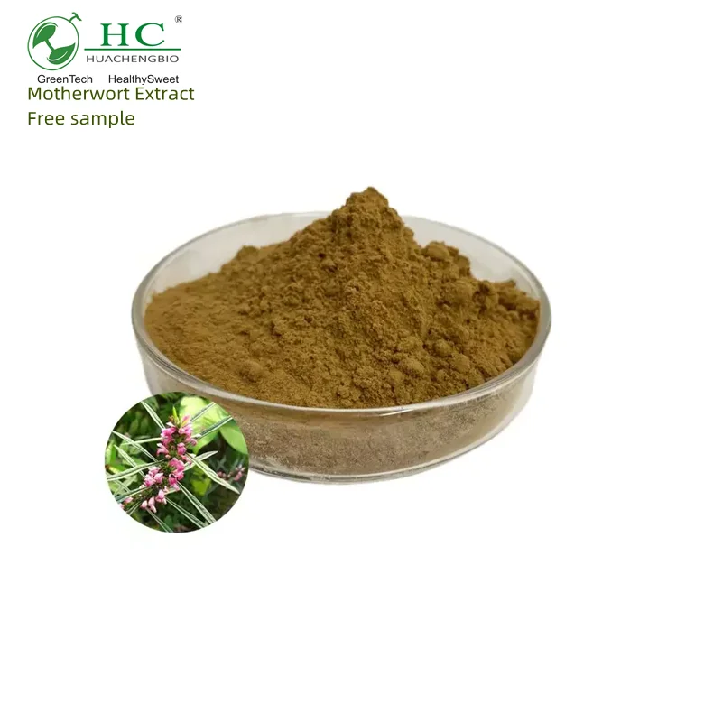 Natural Chinese Plant Extract Motherwort Herb Extract