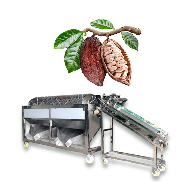 Cocoa Pod Thresher Cocoa Pod Breaking Machine