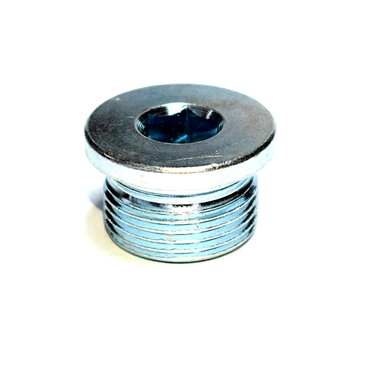 High Pressure Hex Socket Pipe Plug With Rubber Gasket Aisi 304 Din908 Ed Ring Oil Plug