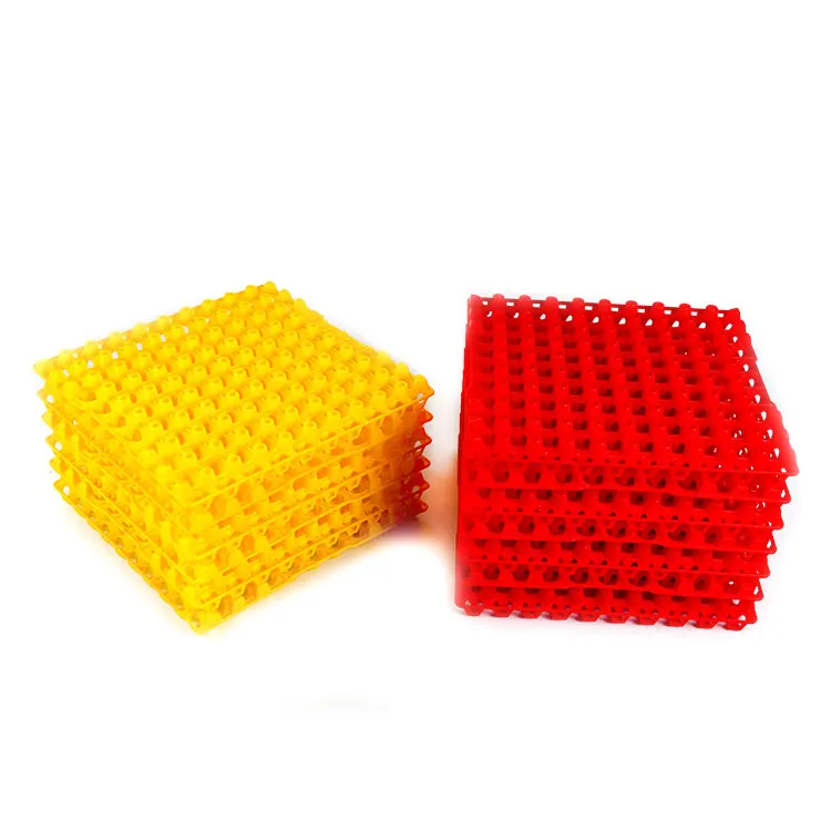 Quail Egg Crate Plastic Tray Quail Egg Packing Tray