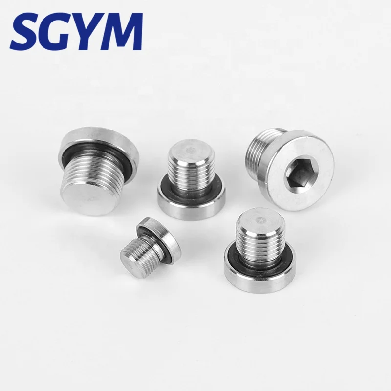 Standard Pipe Screw Male plug fitting Bolt insert  thread with Round head Hex Flange Socket Plug
