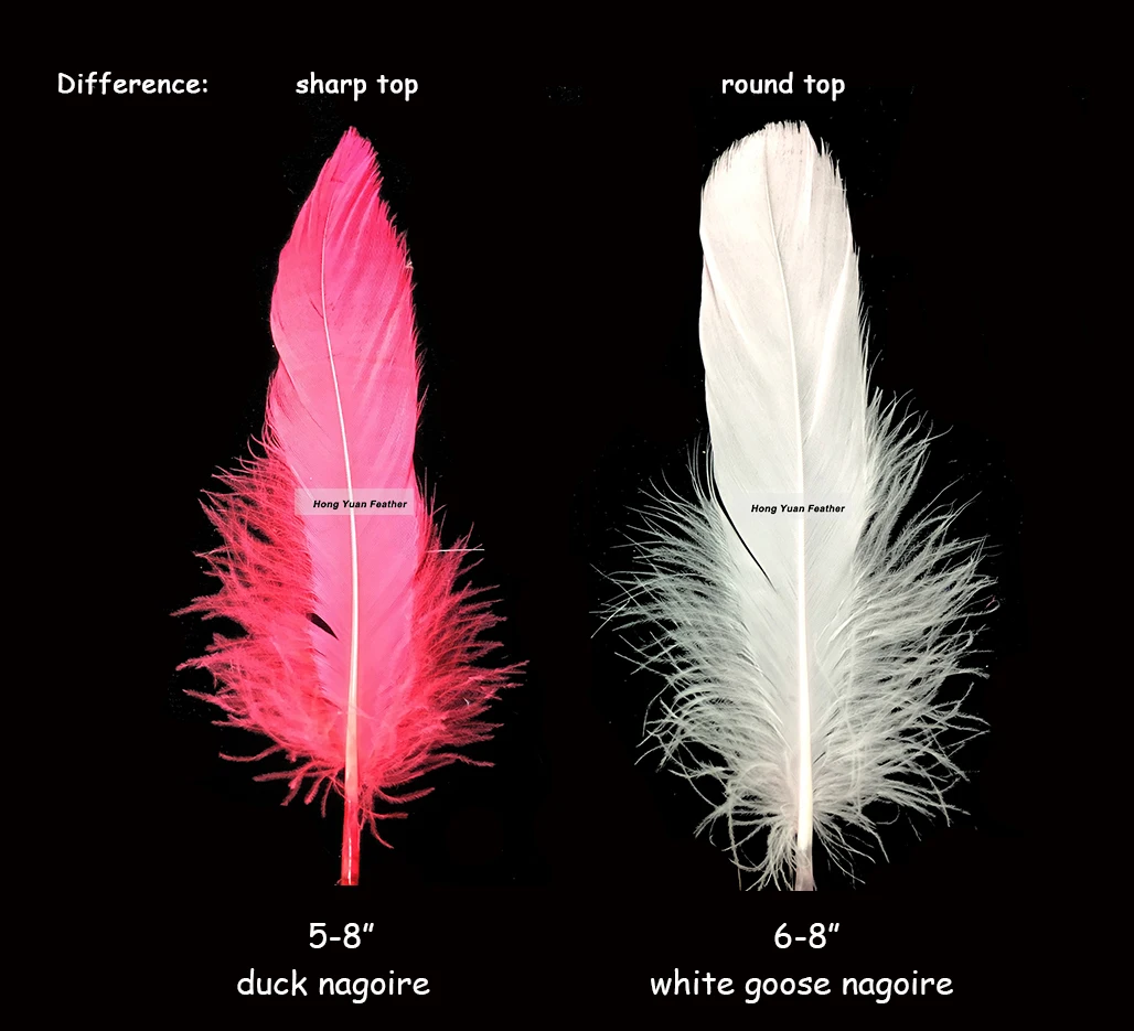 Decorative  Supplier material White dyed Black tail goose biot feather quill for Sale