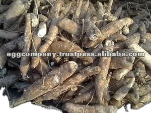 High Quality White Color Cassava Flour for Sale
