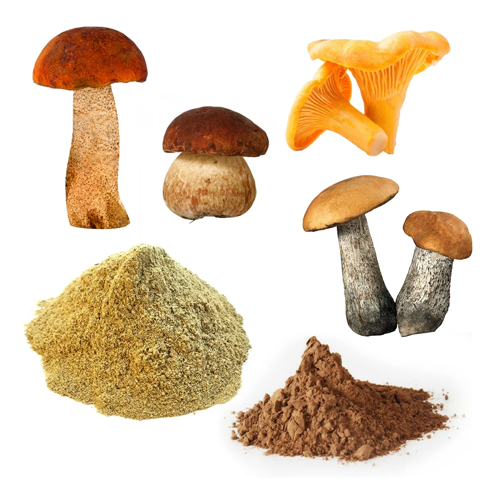VARIOUS WATER-SULUBLE MUSHROOM EXTRACTS/ 100% organic natural WILD mushrooms extracts for healhy food