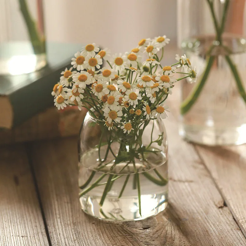 Wholesale Indoor Decor Wooden Lid Glass Vase Micro Landscape Ecological Glass Cylinder Bottle Hydroponic Plant Terrarium