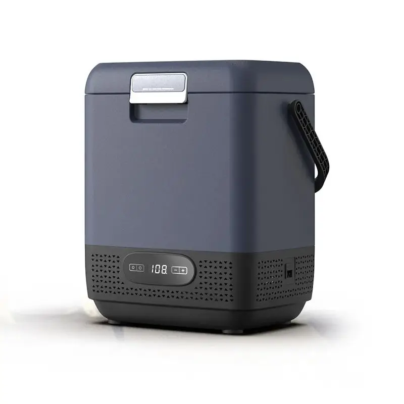 12L Portable Car Refrigerator Mini Compressor Fridges Freezer