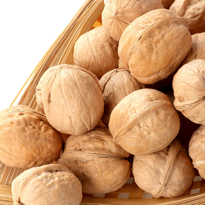 AGOLYN Top Grade Thin Skin Raw Walnuts with Shell Packaging Food Organic Feature Origin Type