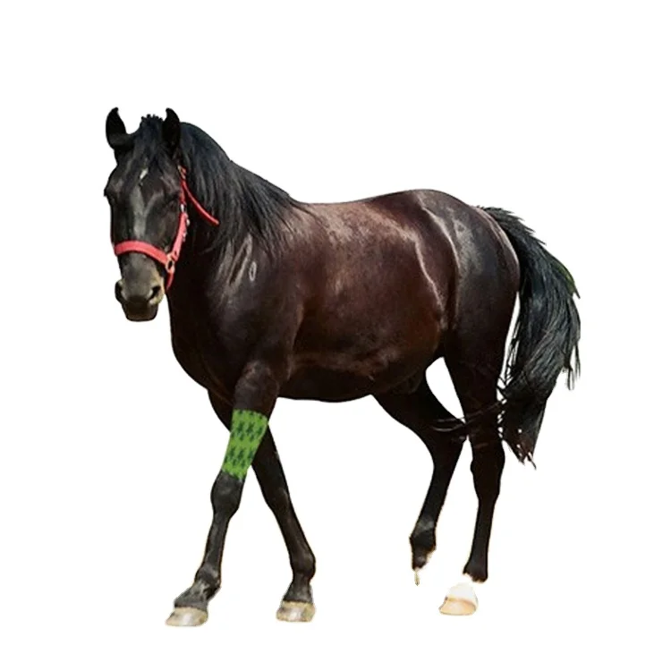 Эластичная лента для разных целей, когезионная повязка, Нетканая ткань, латекс, доступна многоцветная печать