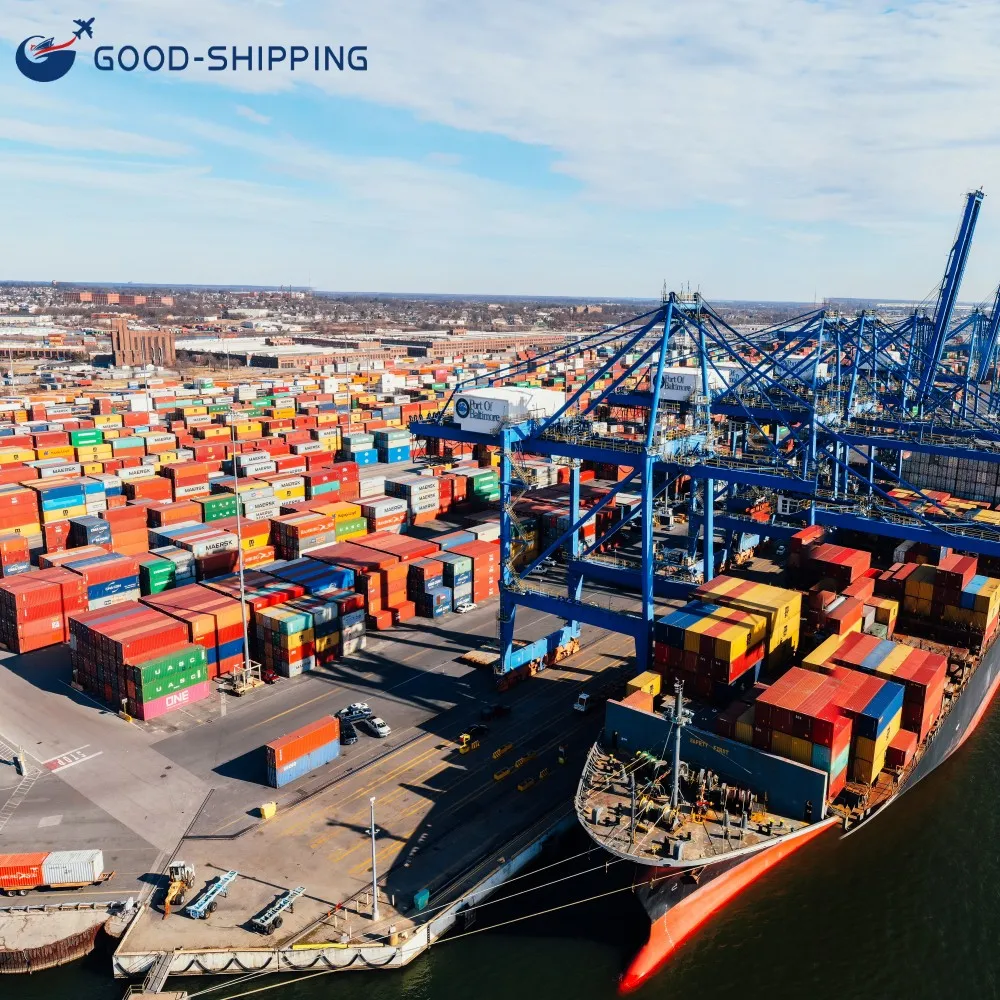 Fee Cheapest Customs Clearance Air Sea Freight Rates Drop Shipping Agent China Sea Freight Russia