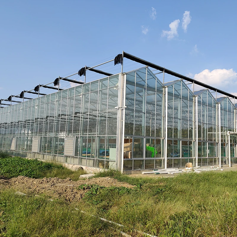 Mini Tunnels Walk In Greenhouse Poly Tunnel Garden Walk In Greenhouse