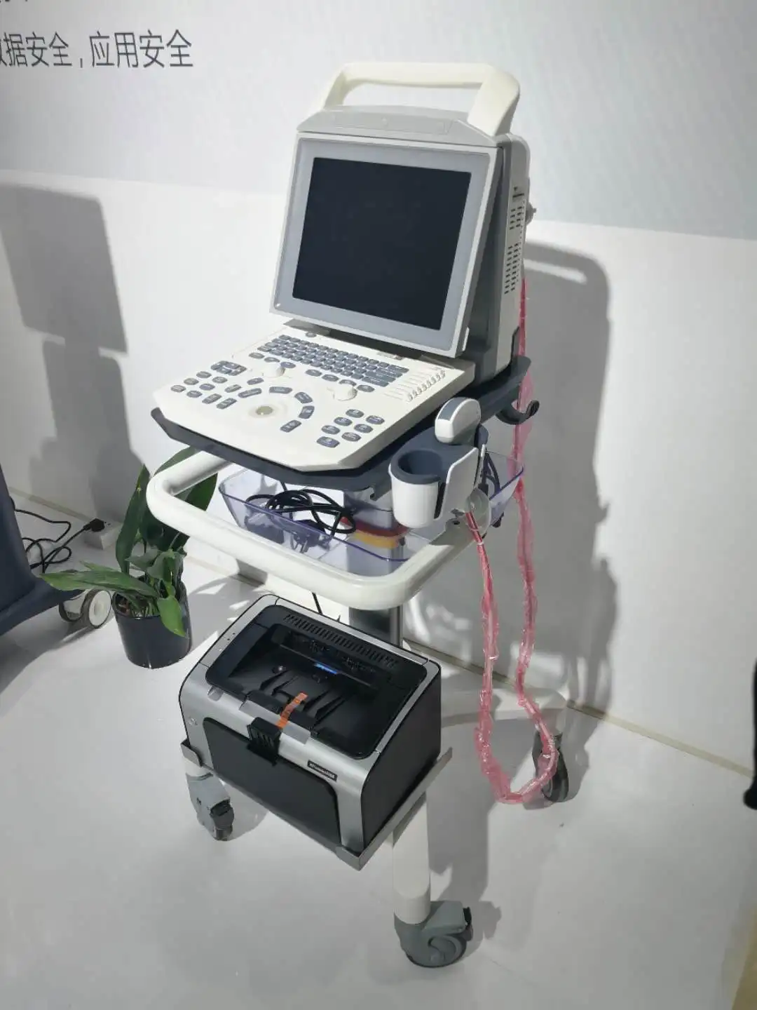 Trolley Portable Full Digital B&W Ultrasound Machine Handheld Ultrasound Scanner MSLPU46