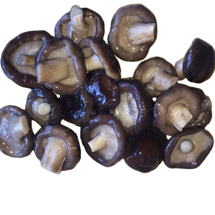 
Fresh shiitake mushrooms in brine with good quality 