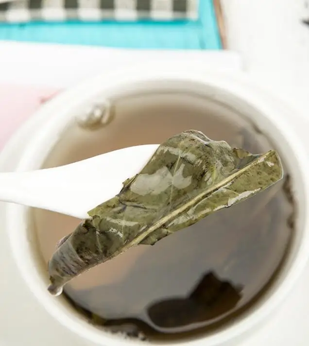 100g/bottle kuding cha Clearing heating Bitter Ku Ding Tea for sale