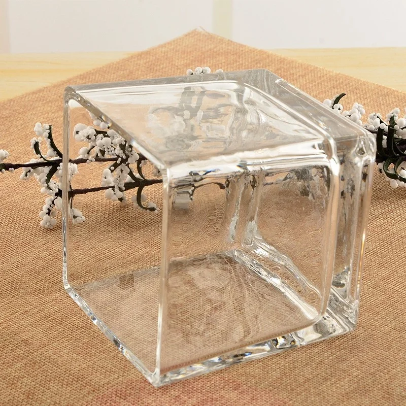Wholesale  Home Decoration  Glass Cube Plant Flower Vases Square Clear Glass Vase