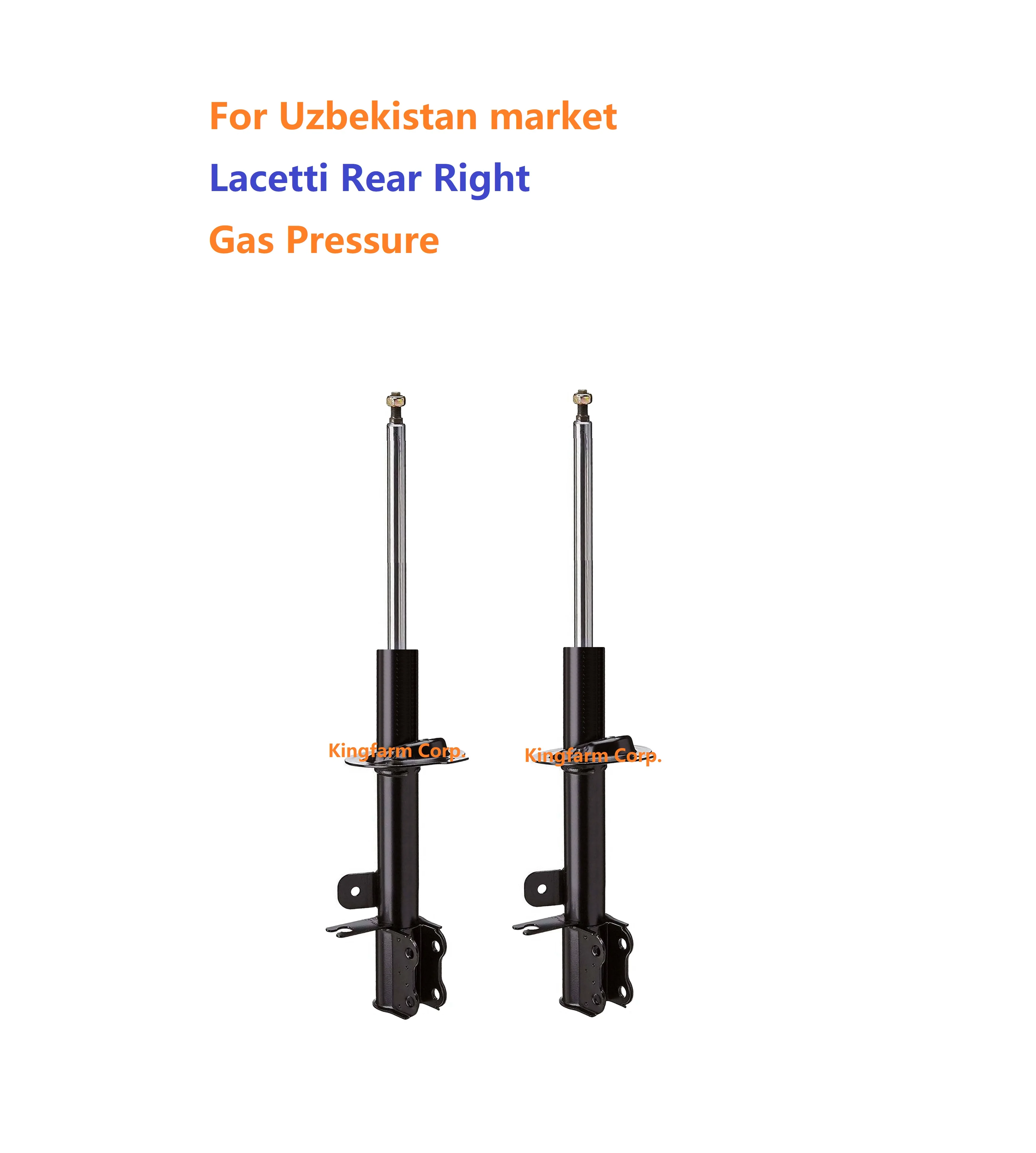 
New Gas Pressure Rear Right Shock Absorber for Lacetti for Uzbekistan market 96409544 