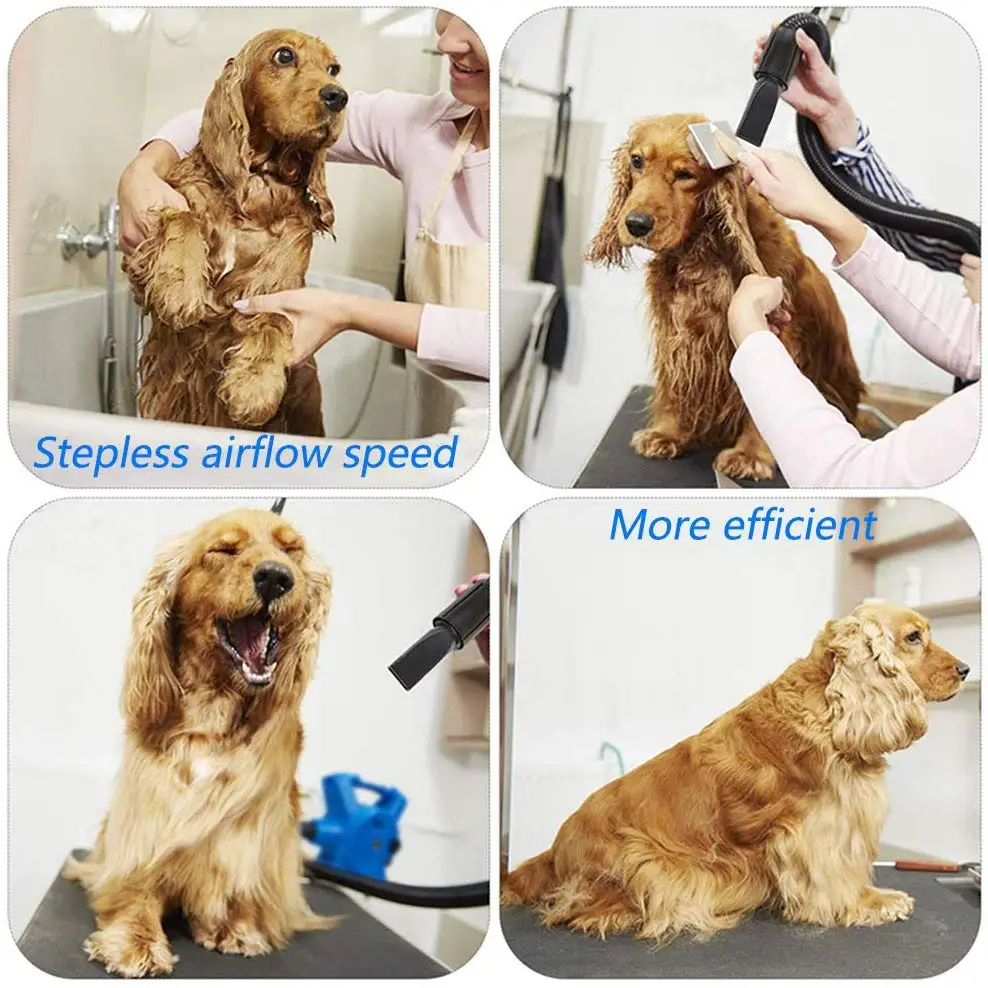 High Power Pet Hair Dryer Portable Dual Motor Water Blower Dogs Cats Cleaning Grooming Tool