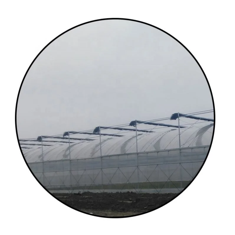 
vegetable fruit agriculture greenhouse farm for sale 