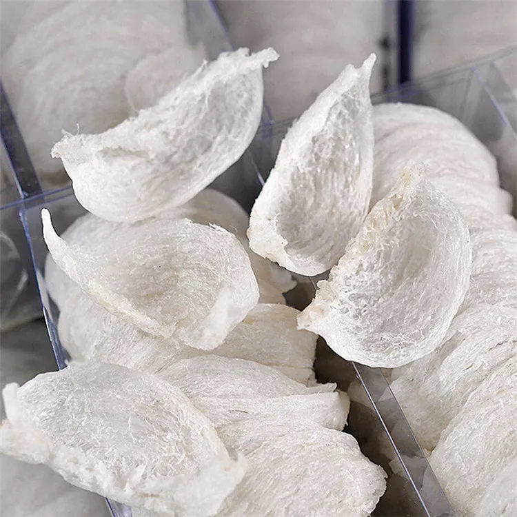 SHM Brand High Quality 5A Specification Amino Acid cubilose Edible Natural swiflet Bird Nest