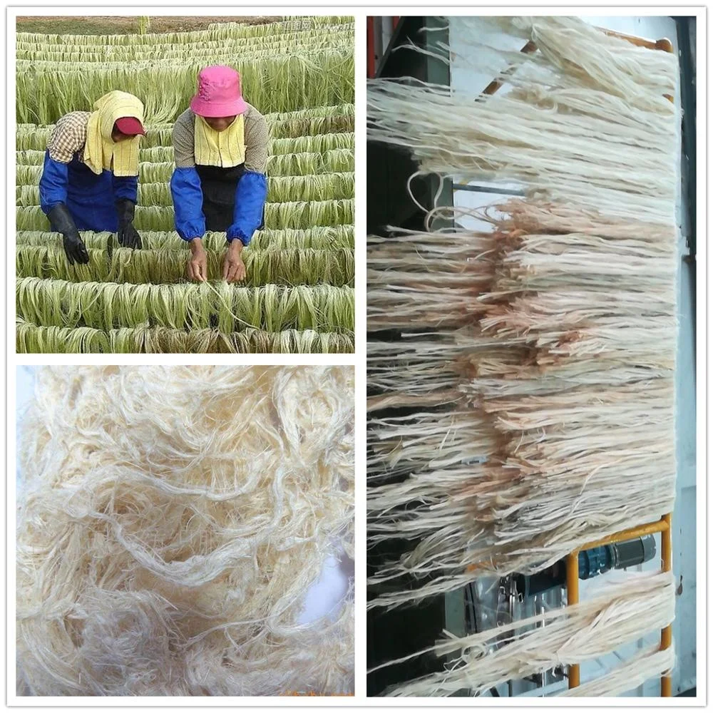 Industrial hemp fiber extraction machines long fiber extractor machine