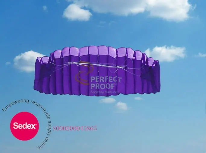 Inflatable Power Kite from the kite factory