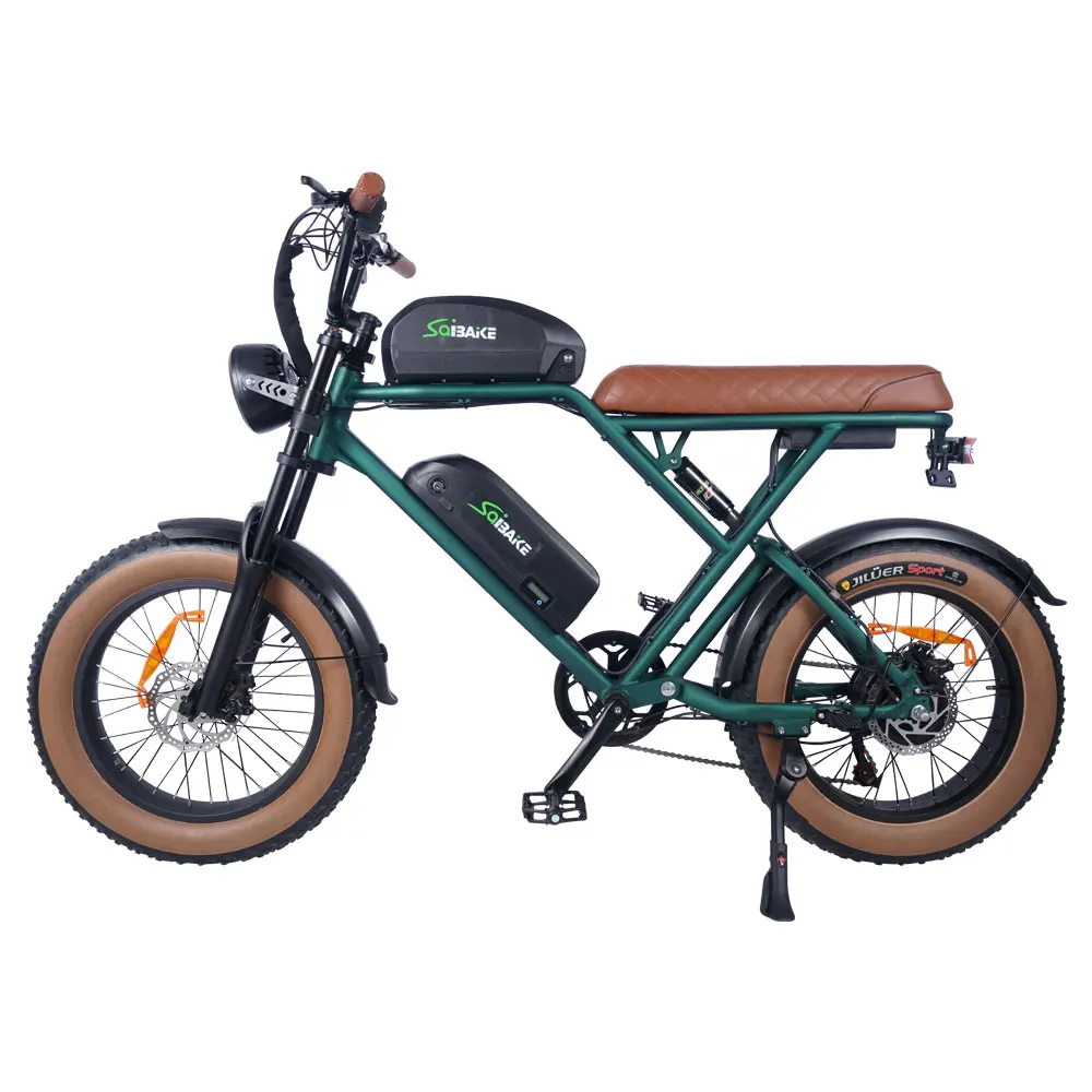 EU USA Warehouse Ready Stock Electric Bike 250 500 750 1000w 20inch Fat Tire E-bike double batteries Electric Bicycle fat bikes