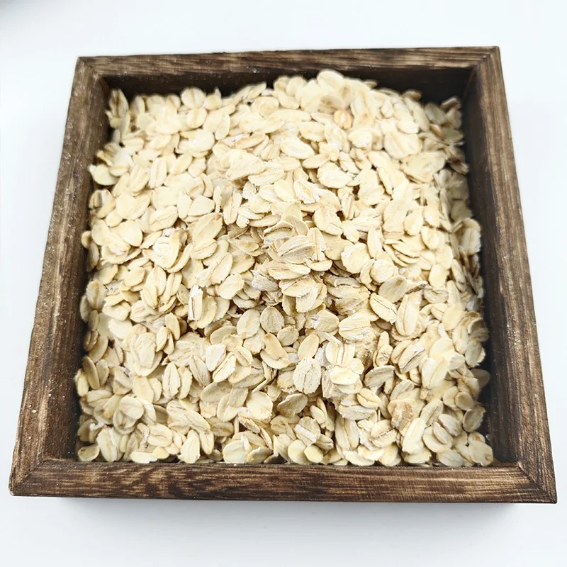 Breakfast Cereals Oats Flakes - Quick Cooking for Wholesale Prices