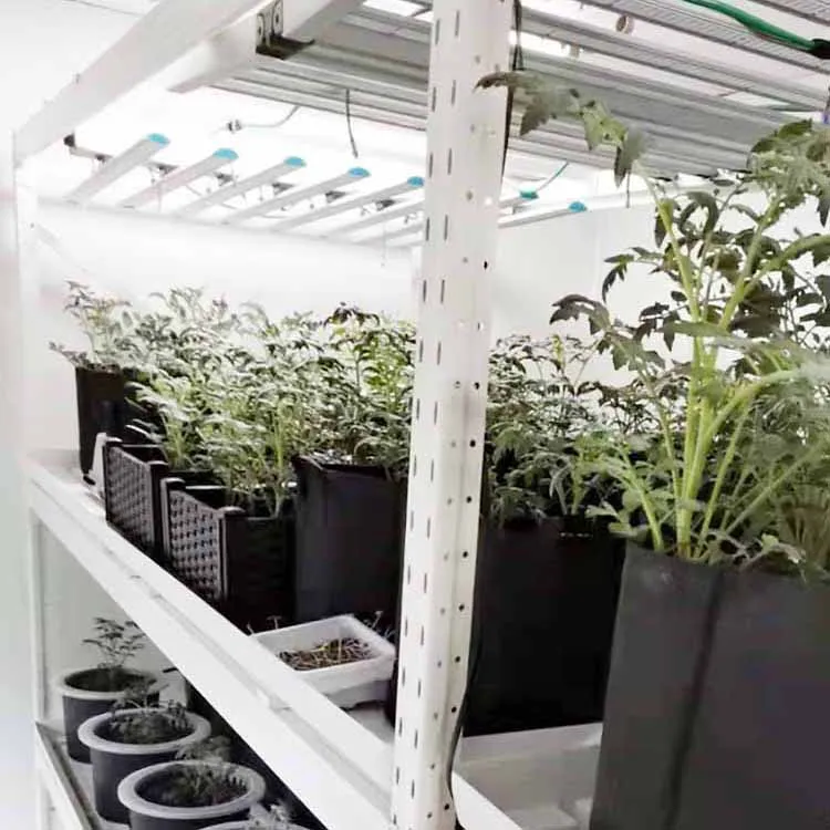 vertical farming container pipp vertical mushroom cultivation growing racks