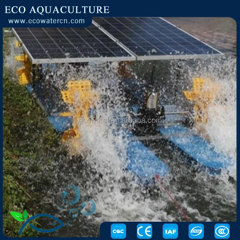 Ecoaquaculture  solar paddle wheel aerator dc solar water oxygenator aerator for fish pond solar powered impeller paddle wheel a