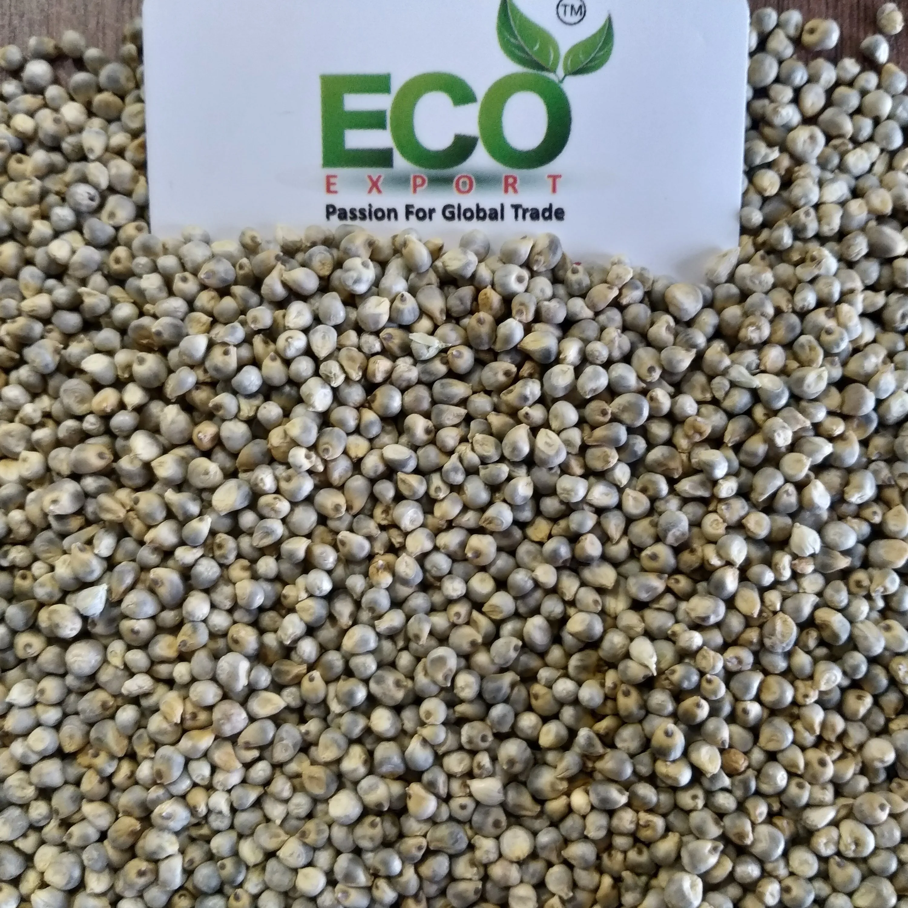 Factory Supply Indian Millet Seeds Low-Priced Feed Grade Grain for Animal Pig Cattle Horse Food Use Protein Rich Packaged Bags