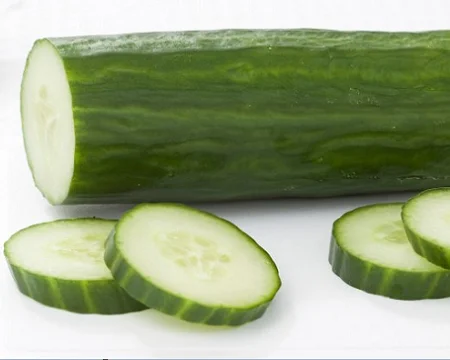 
Reputable and Quality Company Fresh And Juicy Young Cucumber Products In Bulk Eco Friendly Farm Buy Now For Best Price 