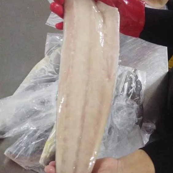 Frozen Mahi Mahi Fillet Good Sale from Indonesia