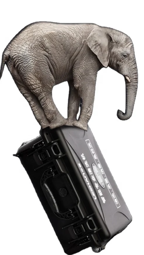 220v 110v CE Rohs  high pressure car washing kits car wash steam machine Lavadora de coches a vapor