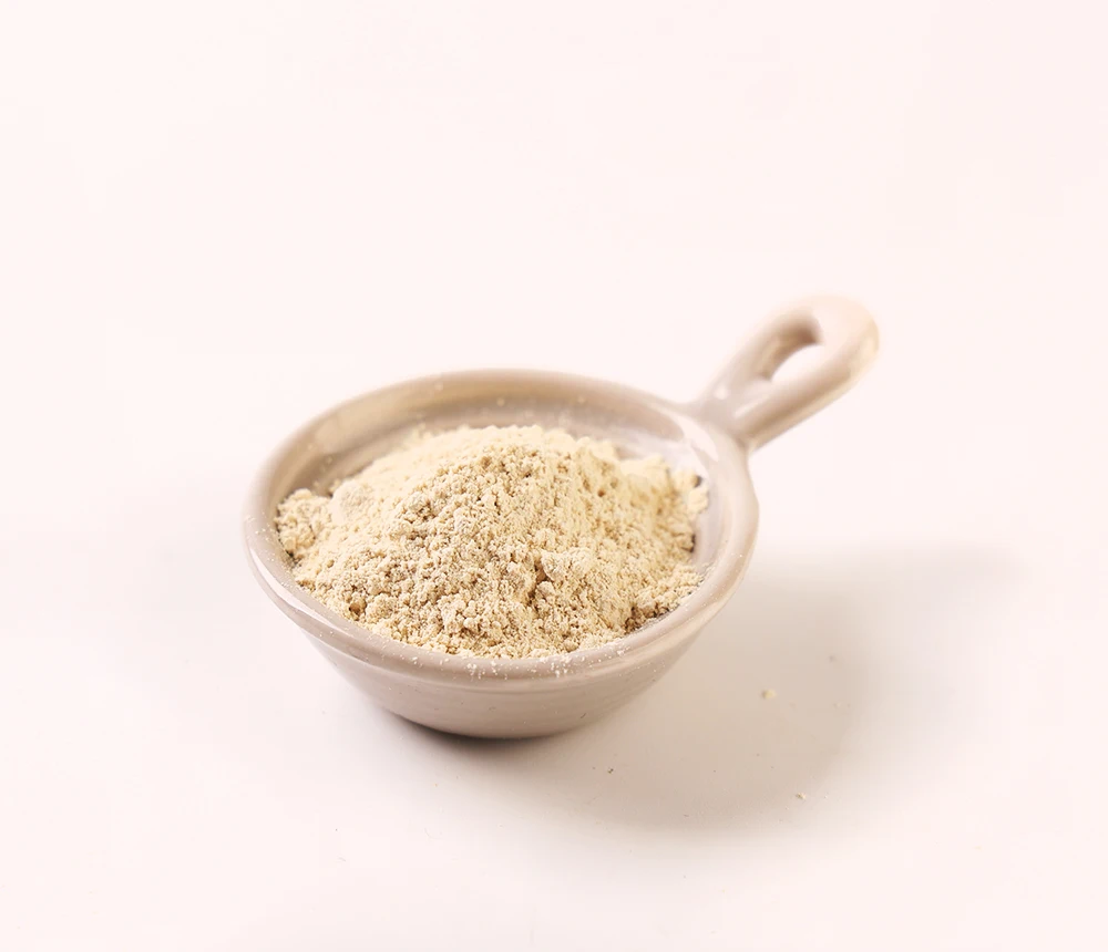 Latest Wasabi Horseradish Powder Horseradish Organic Dried Horseradish Powder