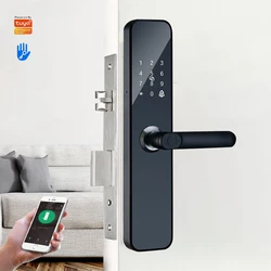 Amazon Top Security Intelligent Main Gate electric lock, WiFi App Digital Tuya Fingerprint Door Smart Locks