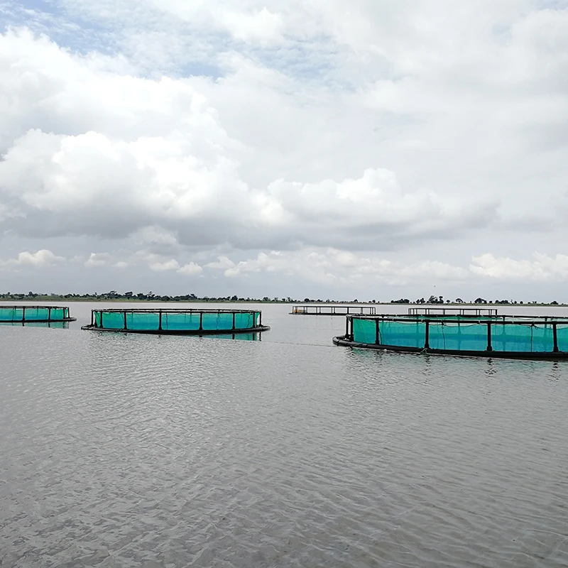Инструменты для аквакультуры HDPE труба морской воды клетка разведения рыбы сеть-фонарь