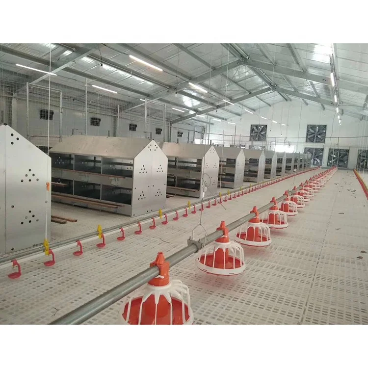 Animal Husbandry Equipment-Poultry Chain Feed System Accessory for Chicken Farming