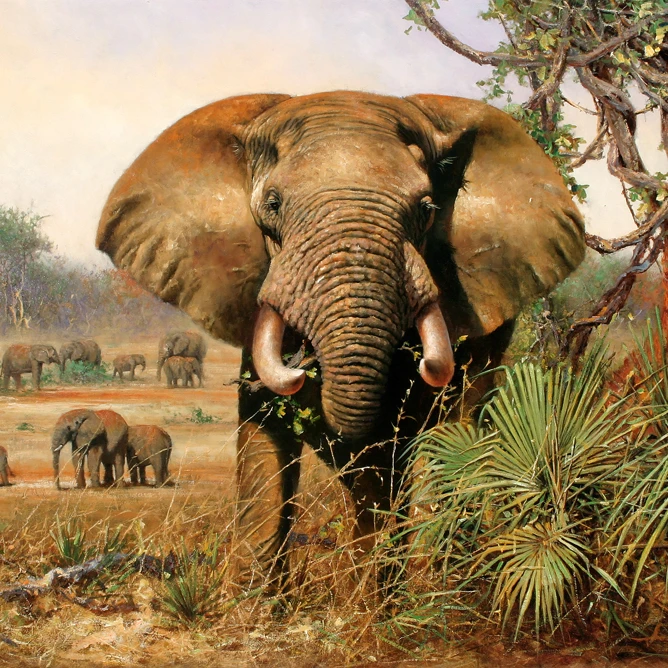 
Landscape oil painting reproduction animal canvas print framed wall art hanging Tigers Leopard Lions pictures 