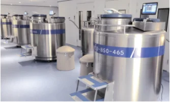 Low Temperature Freezer Biobank Liquid Vapor Phase LN2  Equipment for Stem Cell Bank