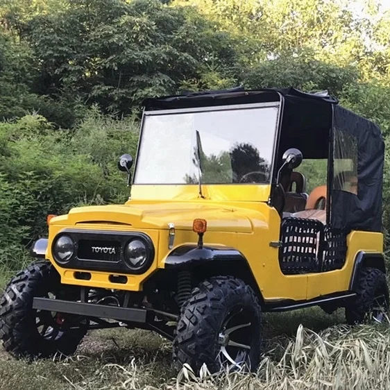Powerful CE Approved 4 Seats Electric ATVs Off Road Hunting Vehicles For Adult
