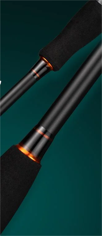 Surfcasting Fishing Rods 2.1m Rod and Reel Combo Full Set for Spinning Baitcasting As Carbon Fiber