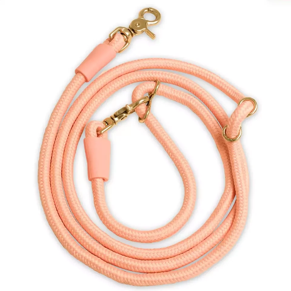 Adjustable Mountain Climbing Strong Nylon Rope Slip Lead Dog Leash Hand Free Dog Slip Lead with Heavy Duty Metal Sturdy Clasp