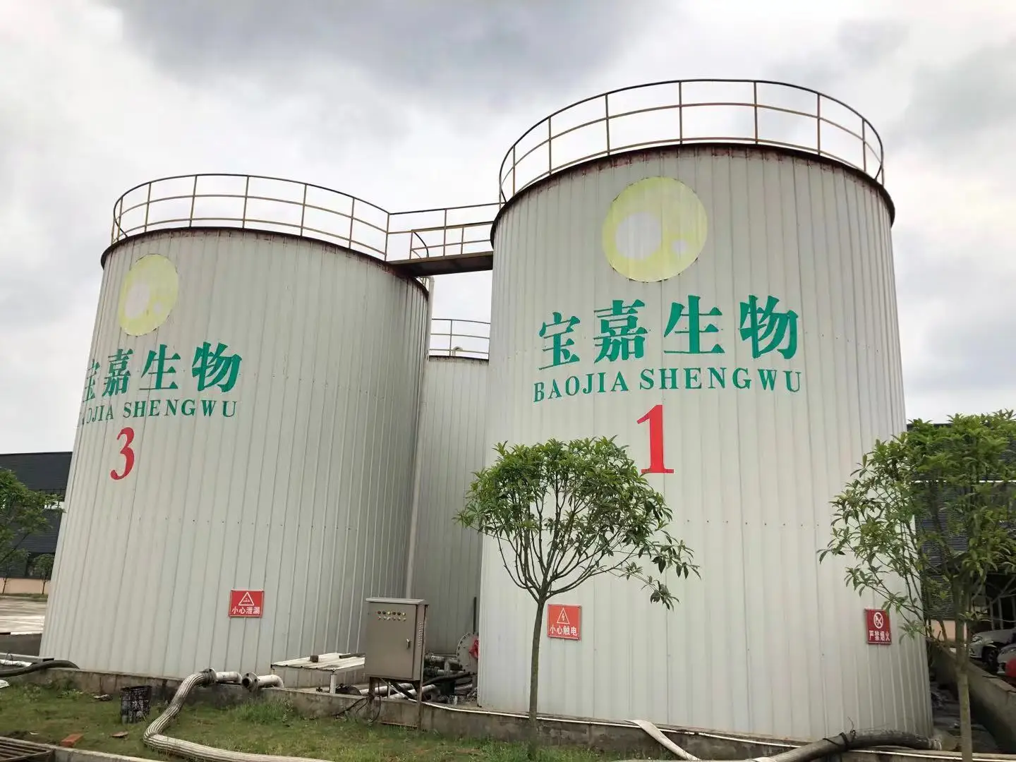 Refined Camellia Seed Oil Yellow Light Bottle Bulk Aromatherapy Packaging Organic Cosmetics Plastic Health Pure Feature Clean