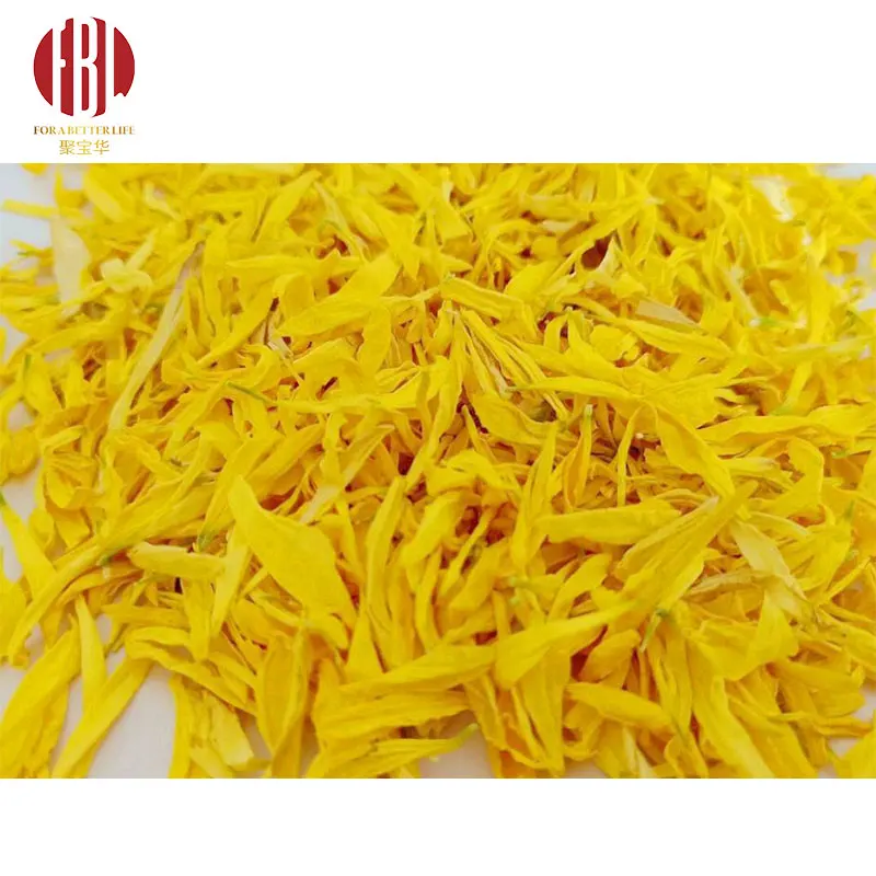 Manufacturer Bulk Dry Chrysanthemum Petals Tea Beauty effect tea