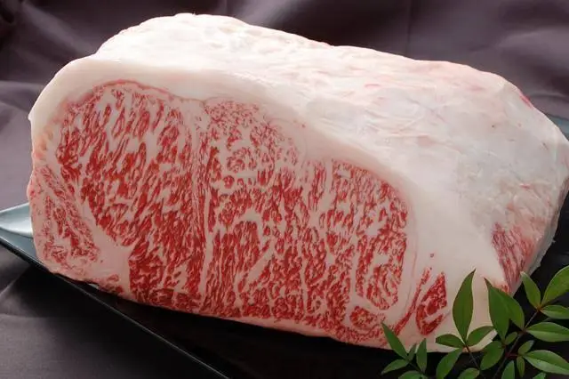 Japanese wagyu cattle beef with 400 years of history