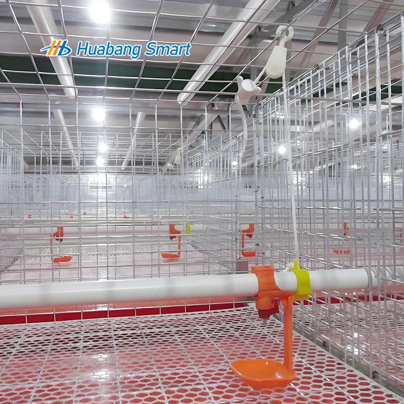 Best Selling Products in Africa-Other+Animal+Husbandry+Equipment Poultry Cage