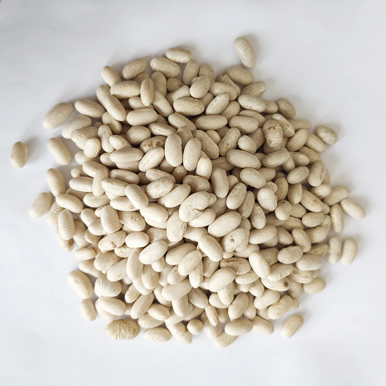 Wholesale Low Price Chinese Natural  Baishake White Kidney Beans